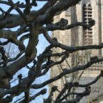 Zum Gedenken an den 09. November – ein mehrfach historisches Datum für Deutschland