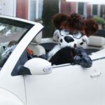 Umtauschpflicht für Führerscheine der Ausstellungsjahrgänge 1999 bis 2001 endet am 19. Januar 2026