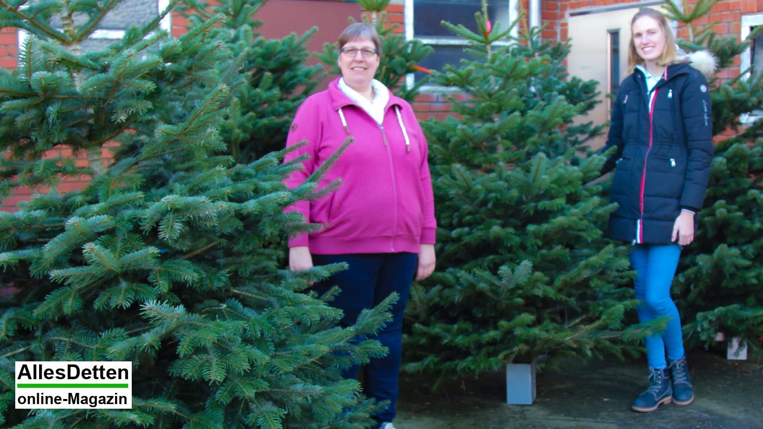 Weber Weihnachtsbäume