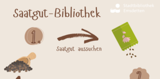 Saatgut- Bibliothek Erklärung