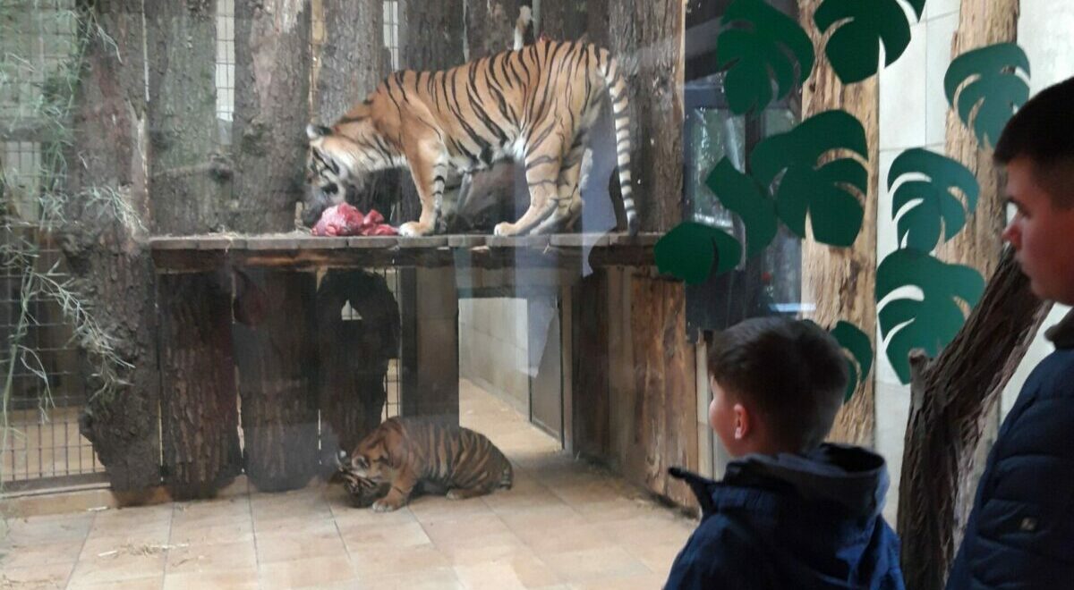 PR-Bericht Zoobesuch (2)