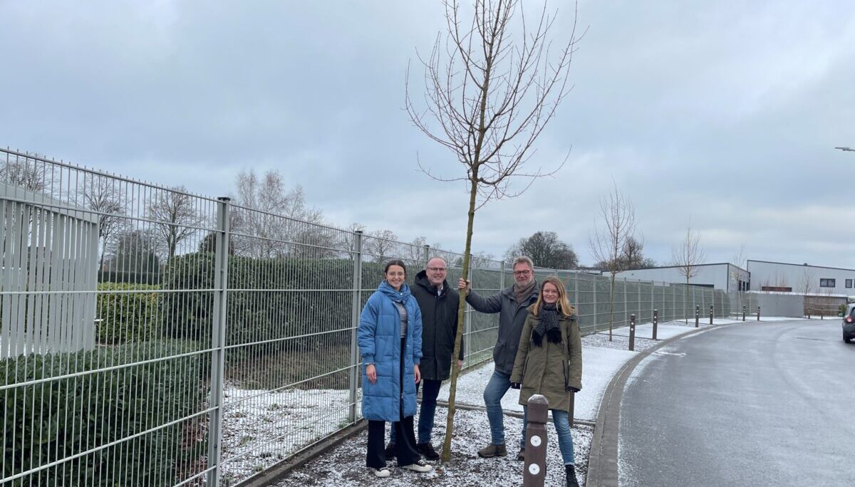 Parkstreifen Hülsmöllerweg