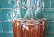 DIY-Workshop in Stroetmanns Fabrik: Kombucha & Wasserkefir zum selbst herstellen