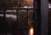 Morgen ist Halloween – Wir suchen die gruseligsten Fotos!