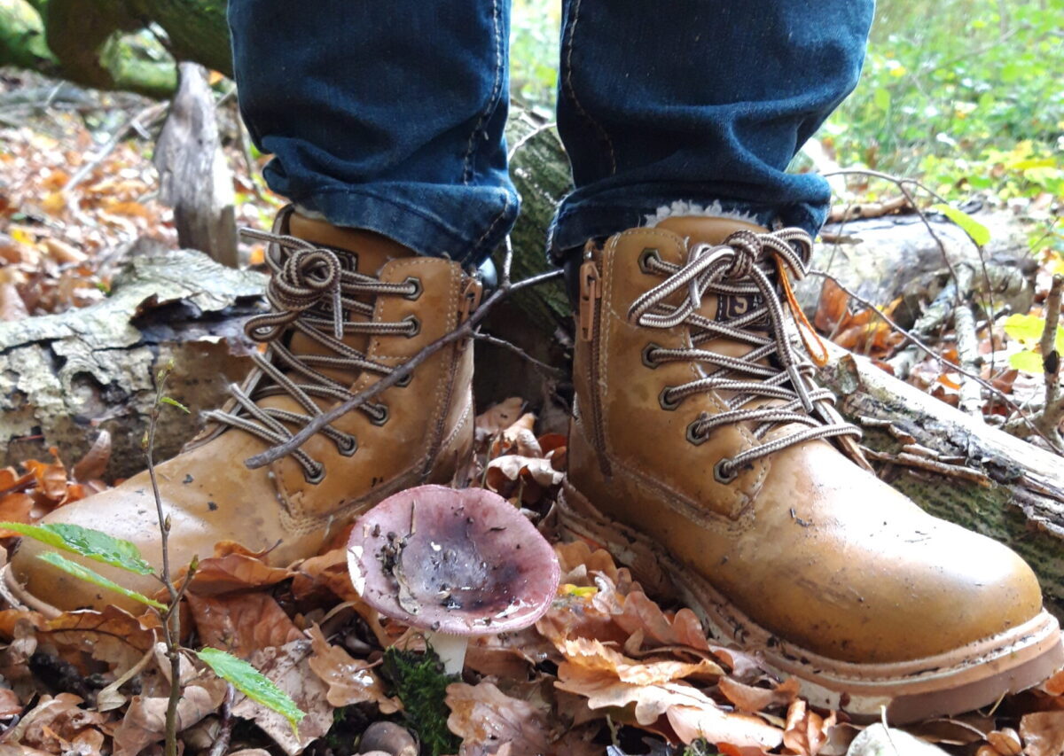 PR-Bild - Ausflug zum Bagno