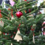 Weihnachtsmärkte rund um Emsdetten