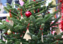 Weihnachtsmärkte rund um Emsdetten