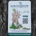 Habitatbäume im Stadtgebiet gekennzeichnet