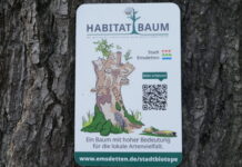 Habitatbäume im Stadtgebiet gekennzeichnet