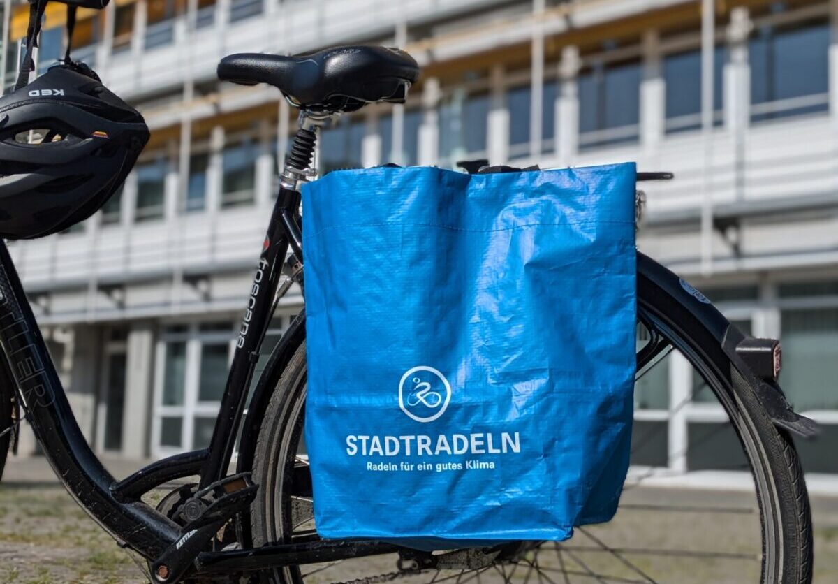 Fahrrad vertikal 4-1