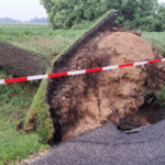 Sturmschäden bleiben nicht ohne Folgen