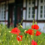 Verwaltungsvorschlag erhielt deutliche Absage durch die Politik