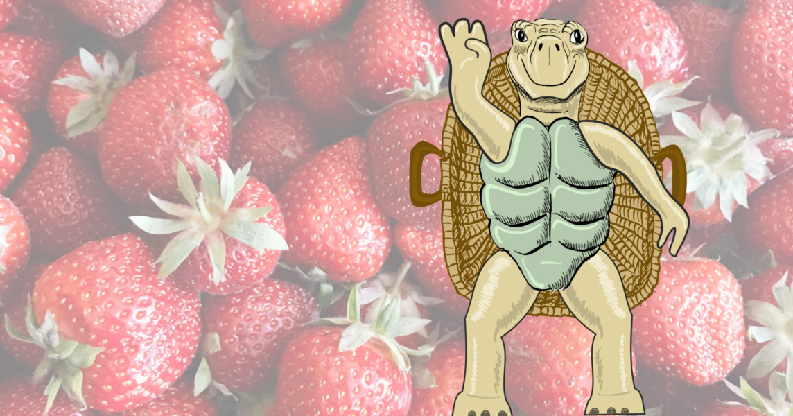 detti erdbeeren