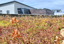 Wärmepumpen und Hitzeschutz: Klimafonds des Kreises Steinfurt startet neue Förderphase