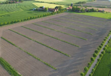 Feldtag zu Agroforst und Direktsaat am 8. September in Steinfurt Praxisnaher Austausch zur Klimaanpassung in der Landwirtschaft