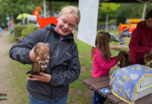 Bienen sind keine Kuscheltiere im eigentlichen Sinne… Stadtparkfest 2026